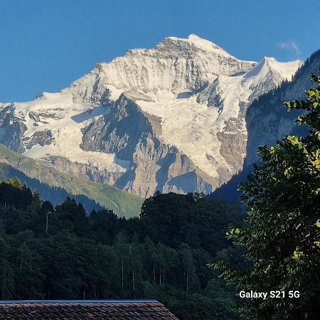 Mountain - Lake Apartment 3 Вилдерсвил Екстериор снимка